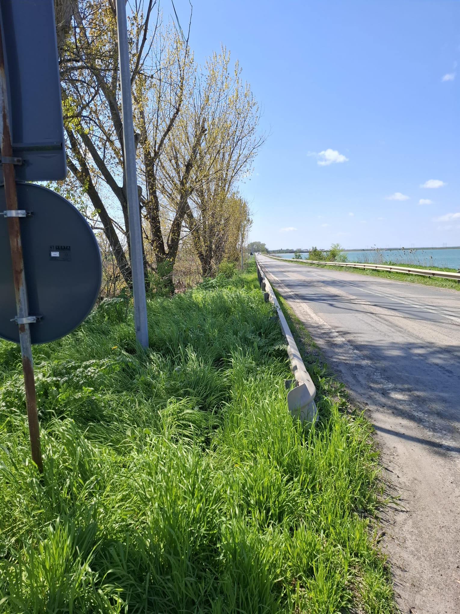  Primareeeee... au trecut 4 (patru) ani, breee! 